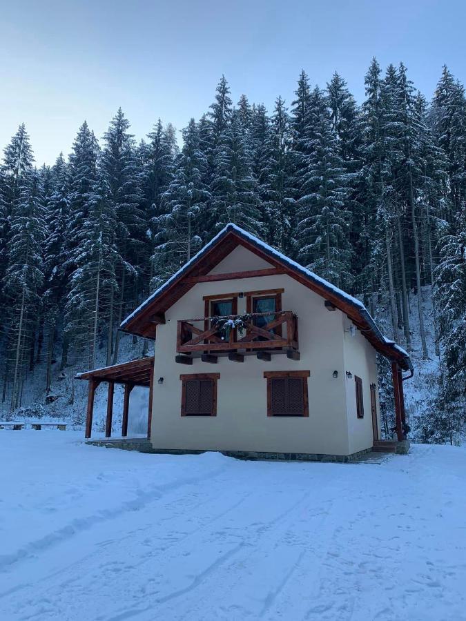 Chata Mosnica Lazisko Dış mekan fotoğraf