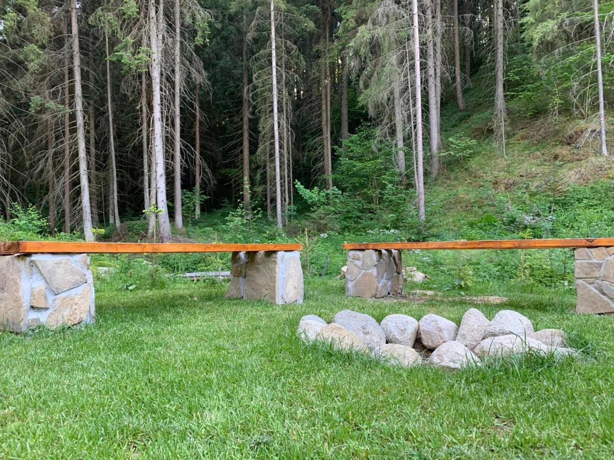 Chata Mosnica Lazisko Dış mekan fotoğraf